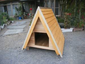 犬小屋ドン.jpg